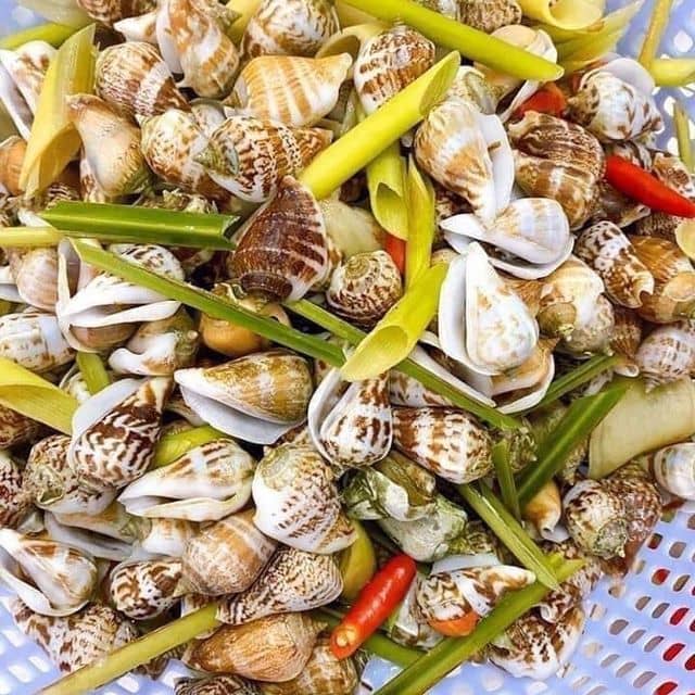 Ốc tự nhiên Sài GònỐc nhảy